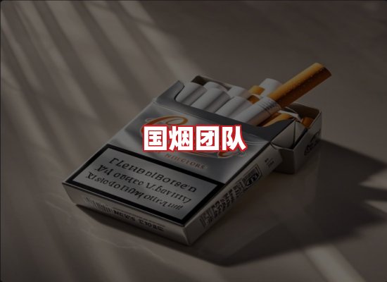 国烟团队